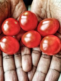 Close-up of hand holding tomatoes