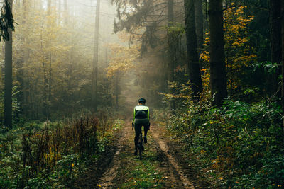 Rear view of man walking in forest