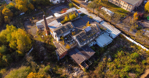 High angle view of tree by building in city