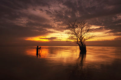 Silhouette tree by sea against orange sky