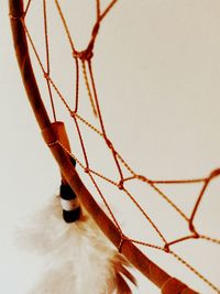 Close-up of object on wall