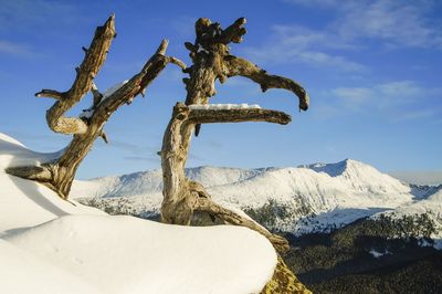 Scenic view of snowcapped mountain against sky