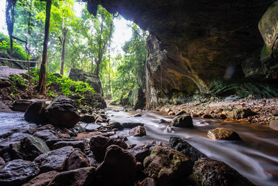 Stream flowing through rocks in forest