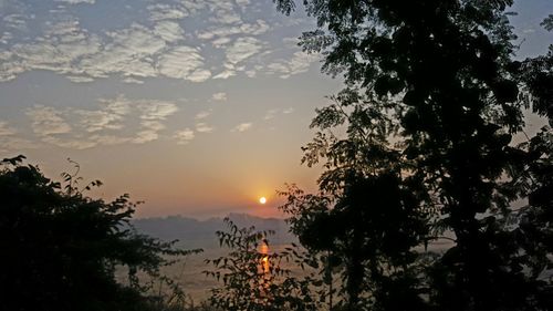 Silhouette trees against sky during sunset