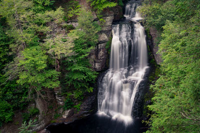 Waterfall in forest