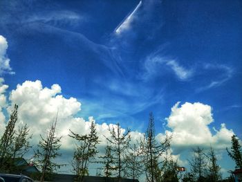 Low angle view of trees against blue sky