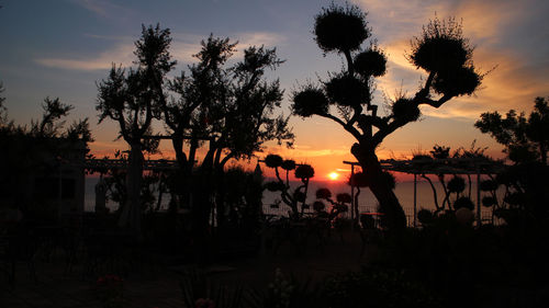 Silhouette people in park against sky during sunset