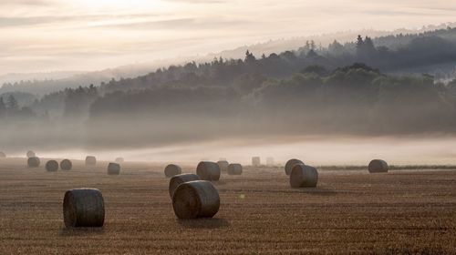 Hay bales on field against sky