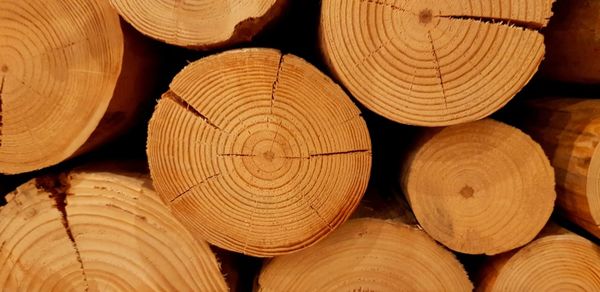 Full frame shot of firewood