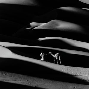 Low section of person with stuffed toy