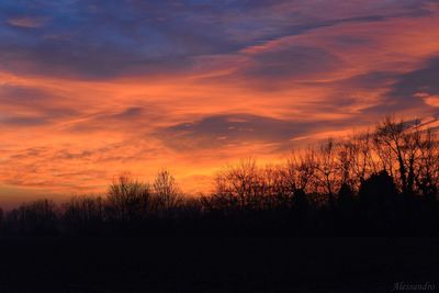 Silhouette trees against sky during sunset