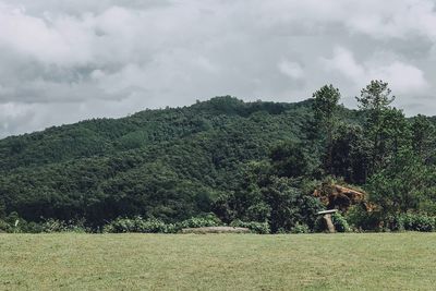 Scenic view of field against sky