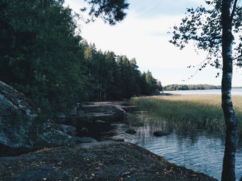 Lake by trees in forest against sky