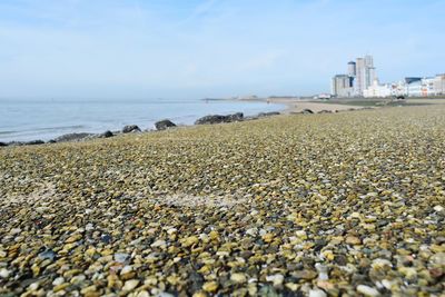 Surface level view of pebble beach against sky