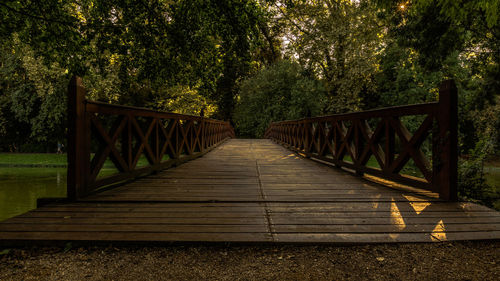 Wooden footbridge amidst trees in forest