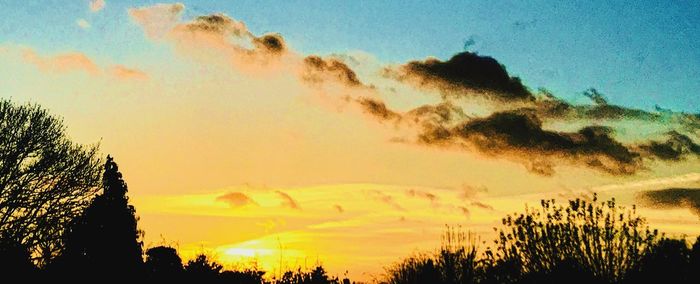Low angle view of silhouette trees against sky during sunset