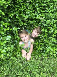High angle view of boy standing amidst plants