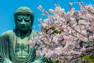 Close-up of cherry blossom on statue
