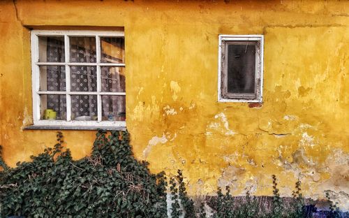 Closed window of old building