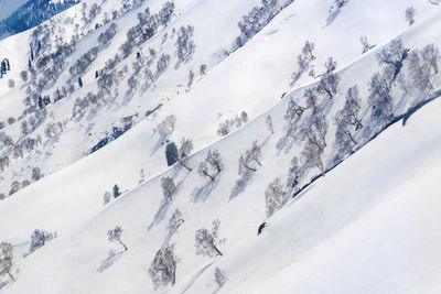 Scenic view of snow covered mountains