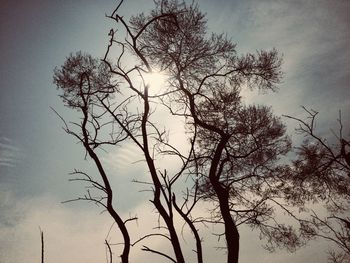 Low angle view of silhouette bare tree against sky during sunset