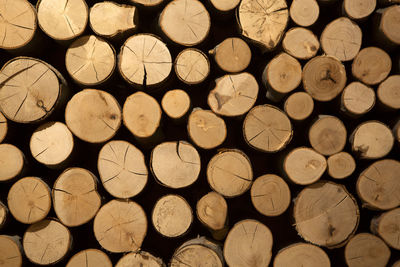 Closeup of round and stacked firewood