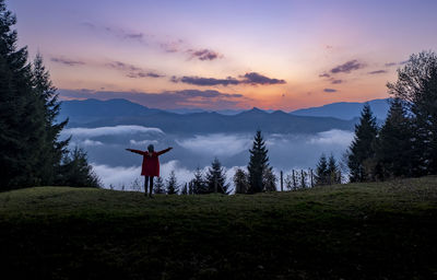 Rear view of man standing on field against sky during sunset