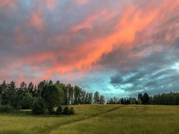 Scenic view of field against sky during sunset