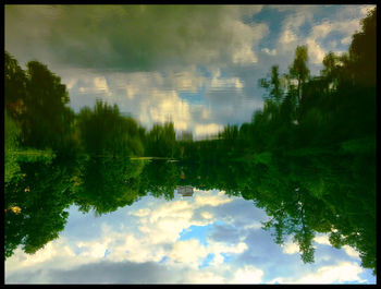 Reflection of trees in lake