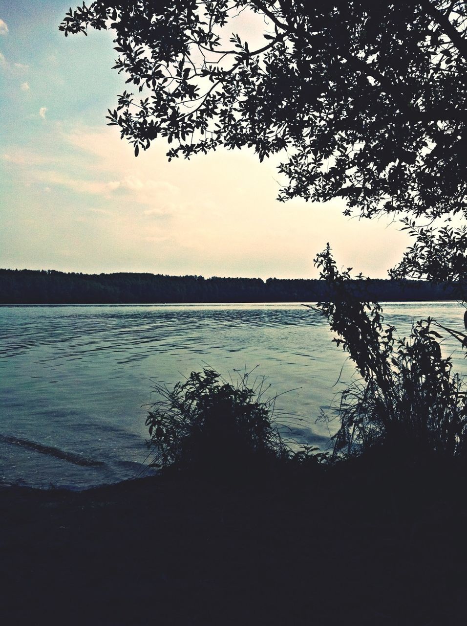 water, tranquility, tranquil scene, tree, scenics, silhouette, beauty in nature, sunset, sky, lake, nature, branch, idyllic, sea, lakeshore, growth, calm, reflection, no people, non-urban scene