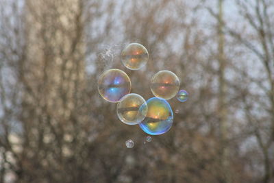 Low angle view of bubbles against trees