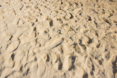 High angle view of footprints on sand