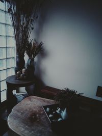 Close-up of potted plant on table at home