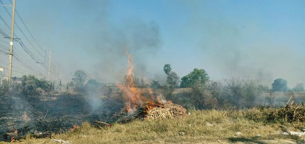 Panoramic view of bonfire