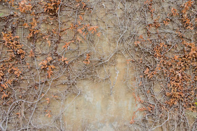 Full frame shot of white background