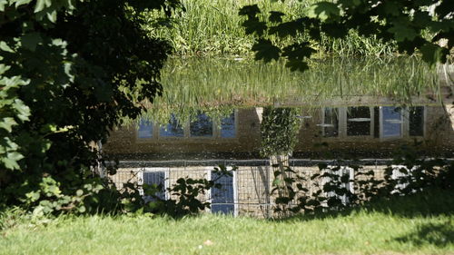 Built structure by trees against plants