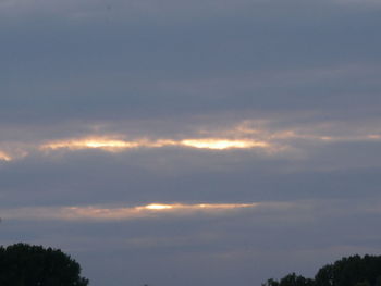 Trees on landscape against cloudy sky