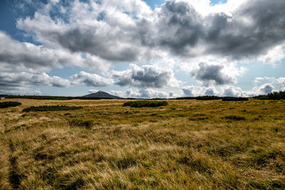 Scenic view of field against sky