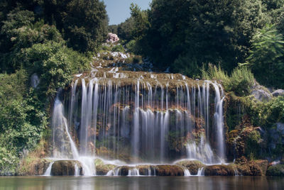 View of waterfall in forest