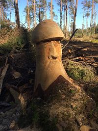 Close-up of mushroom growing on tree trunk