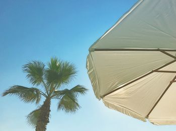 Low angle view of coconut palm tree against clear blue sky