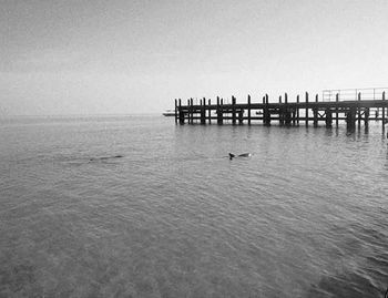 Pier on sea against sky