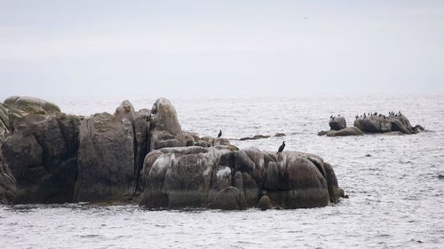 Rocks on sea shore against sky