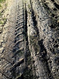High angle view of tire tracks on land