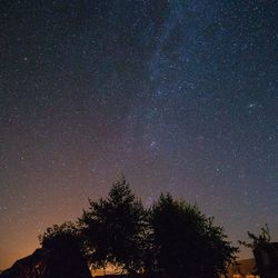 Low angle view of silhouette trees against sky at night