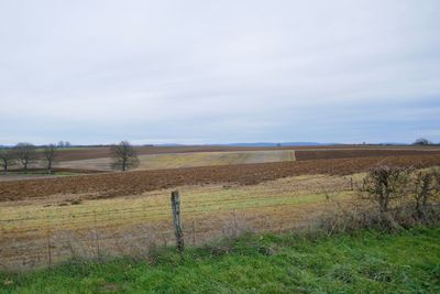 Scenic view of field against sky