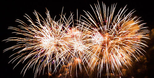 Fireworks exploding at night