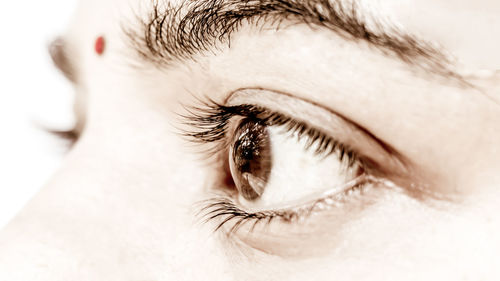 Cropped image of woman eyes