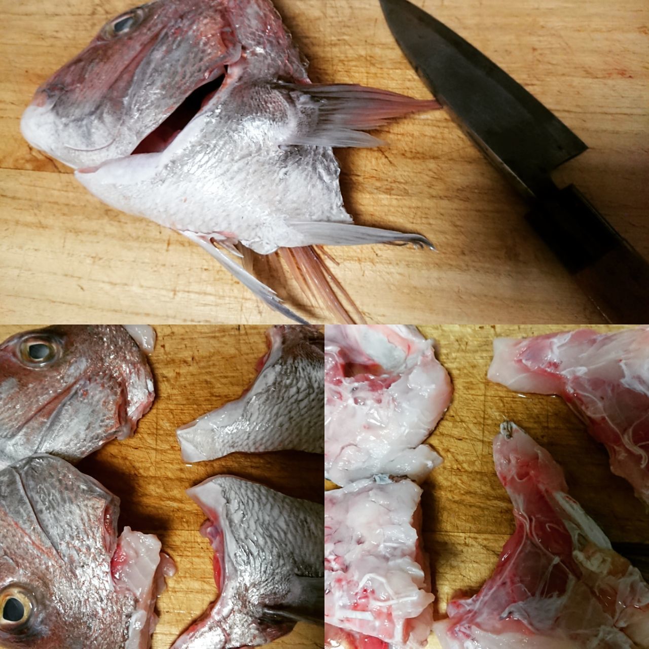 HIGH ANGLE VIEW OF DEAD FISH ON TABLE