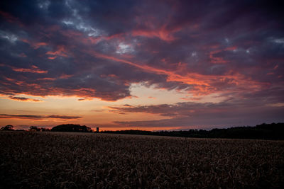 Scenic view of field against sky during sunset